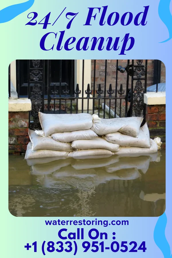 24/7 Flood Cleanup in Springdale, NC