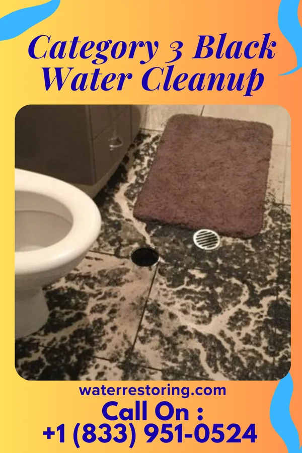 Category 3 Black Water Cleanup in Springdale, NC