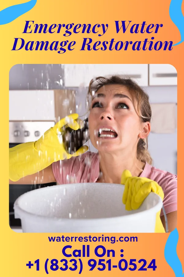 Emergency Water Damage Restoration in Springdale, NC