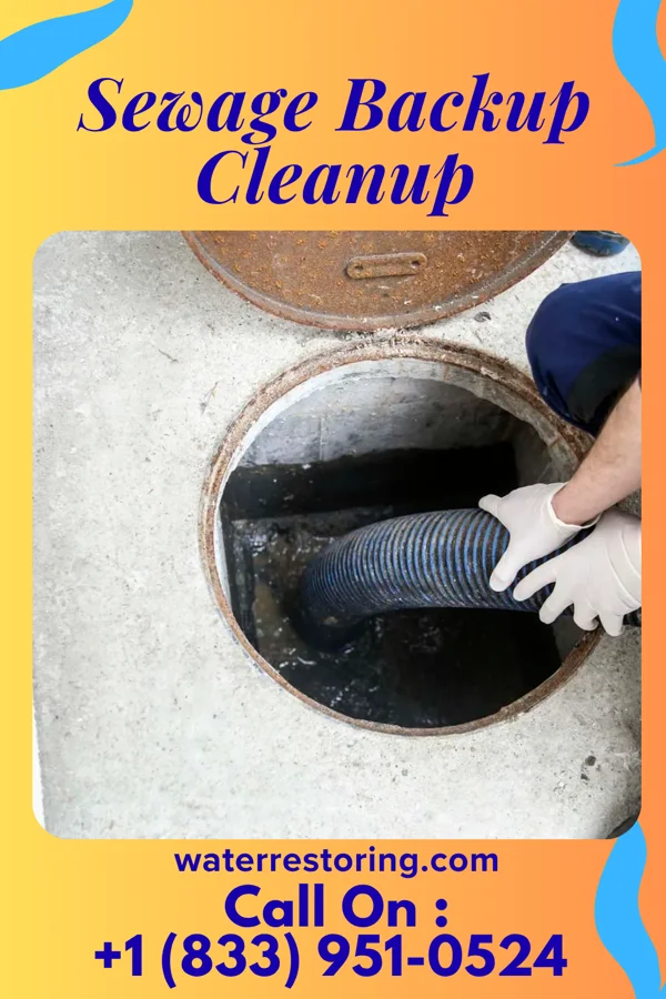 Sewage Backup Cleanup in Springdale, NC